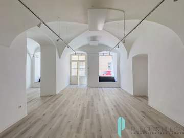 Büro in Wien /  1010 Wien - Innere Stadt