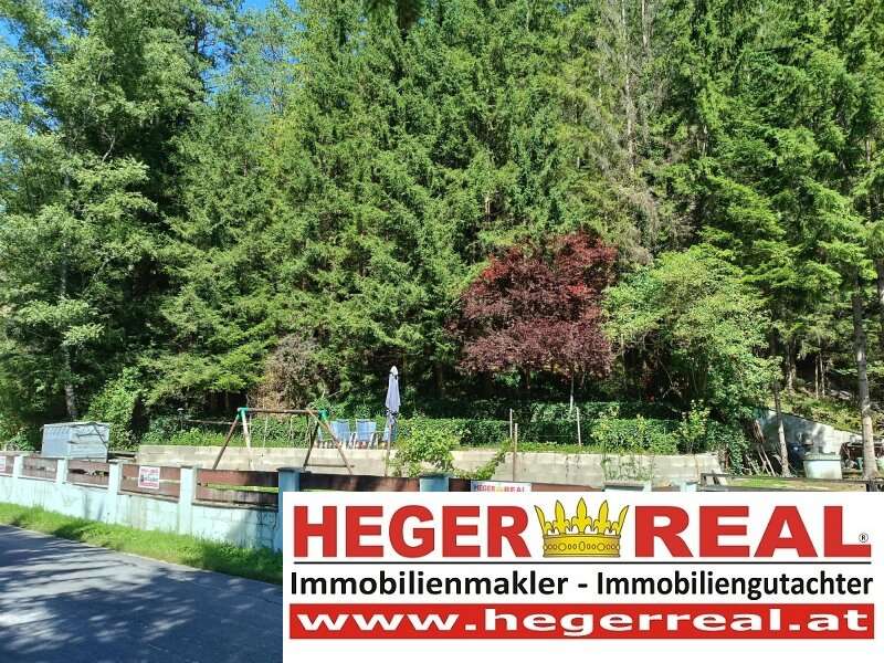Haus in 2770 Gutenstein - 2