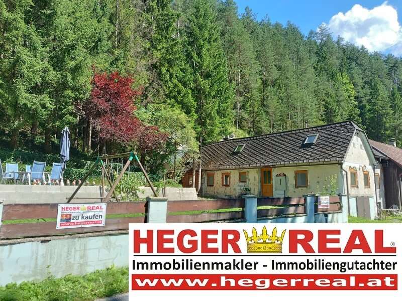 Haus in 2770 Gutenstein - 3