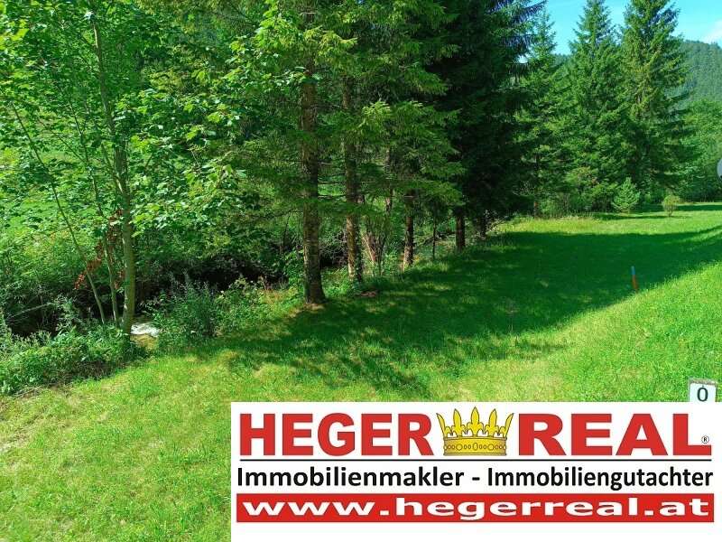 Haus in 2770 Gutenstein - 4