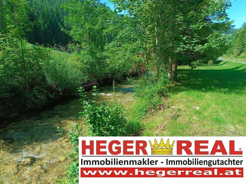 Haus in 2770 Gutenstein - 5