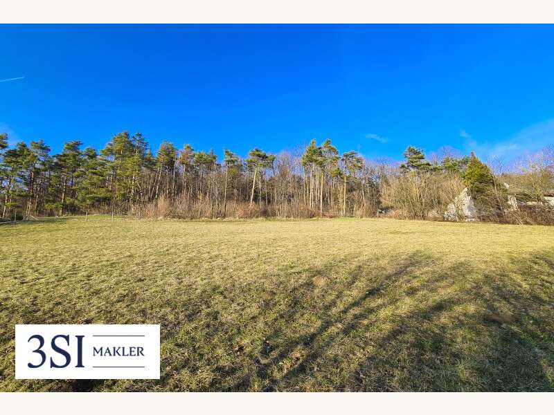 Grundstück in 2393 Sparbach - 5