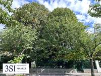 Baugrund in 1230 Wien