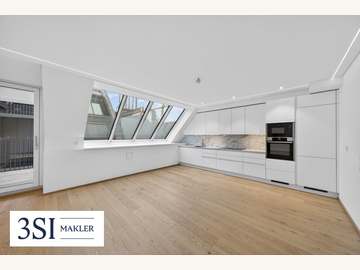 Dachgeschosswohnung in Wien /  