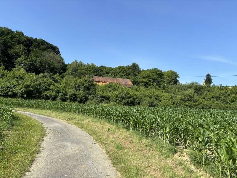 Landwirtschaft in 8362 Tautendorf bei Fürstenfeld - 5