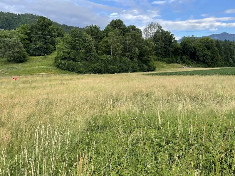 Bauernhof in 9132 Möchling - 3