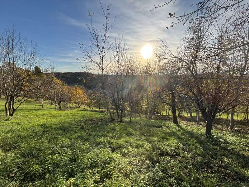 Landwirtschaftsgrund in 8362 Ruppersdorf - 1