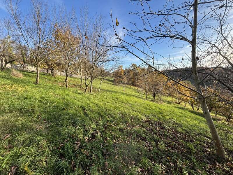 Landwirtschaftsgrund in 8362 Ruppersdorf - 2