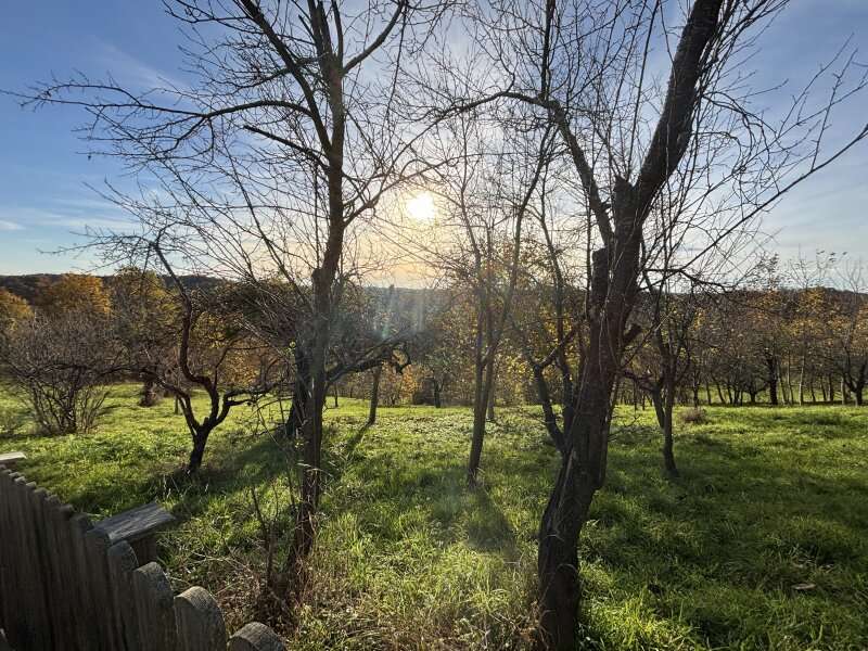 Landwirtschaftsgrund in 8362 Ruppersdorf - 3