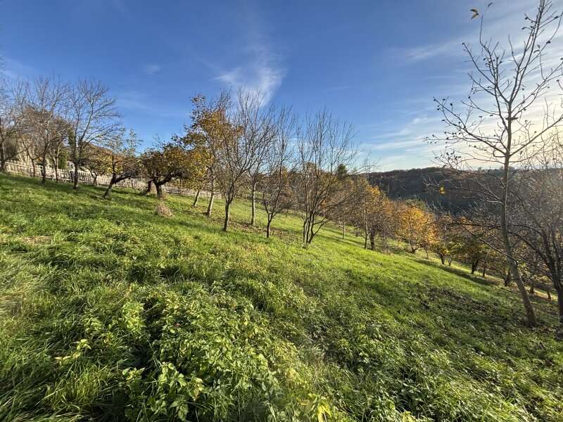 Landwirtschaftsgrund in 8362 Ruppersdorf - 4