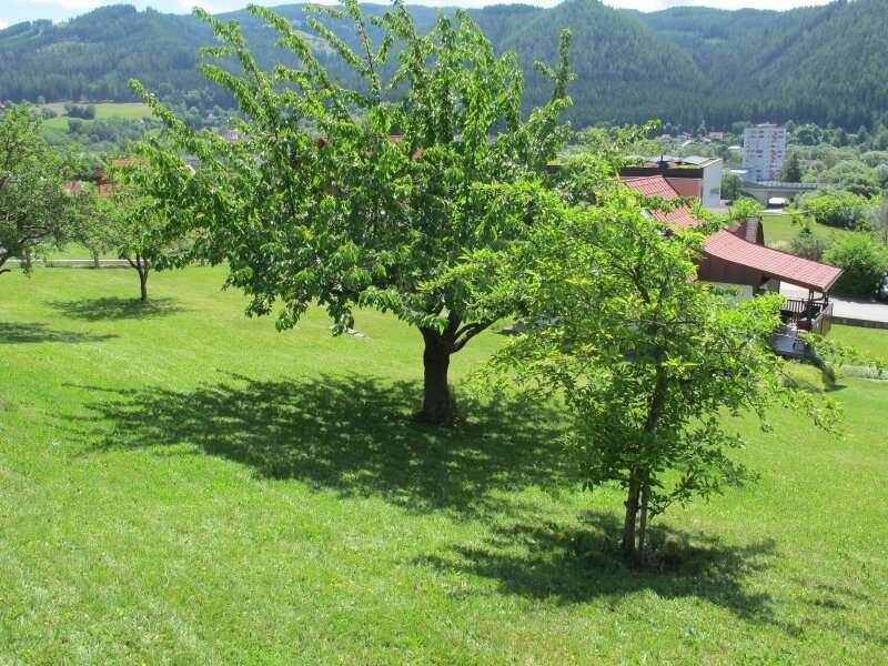 Baugrund in 8650 Kindberg - 3