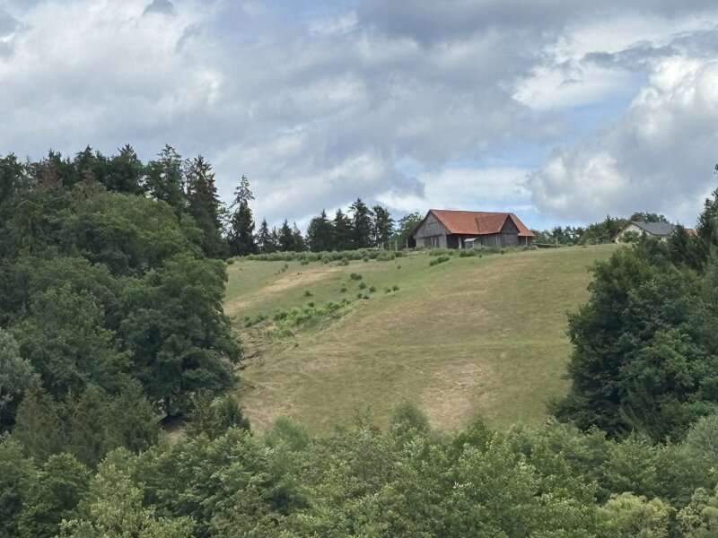 Landwirtschaftsgrund in 8152 Stallhofen - 2