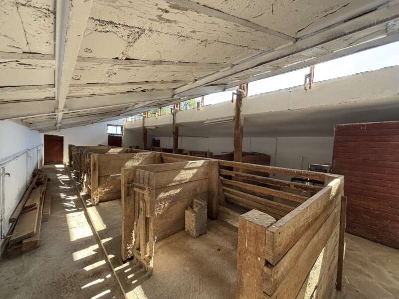 Einfamilienhaus in 8483 Deutsch Goritz - 16