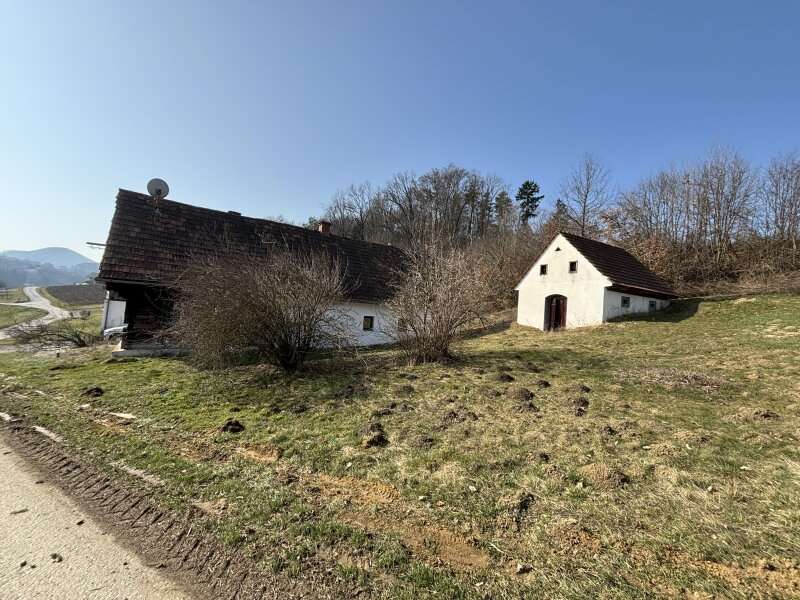 Bauernhaus in 8330 Feldbach - 14