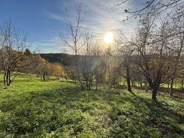 Landwirtschaftsgrund in Ruppersdorf /  Hartberg-Fürstenfeld