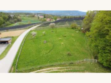 Landwirtschaftsgrund in Sankt Ruprecht an der Raab /  Weiz