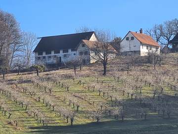 Bauernhaus in Sankt Peter am Ottersbach /  Südoststeiermark