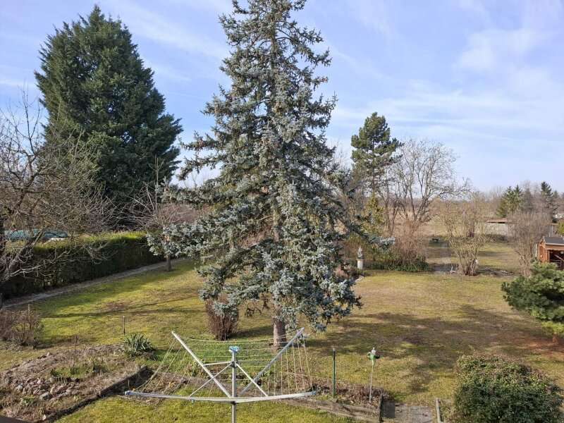 Einfamilienhaus in 2062 Großkadolz - 23