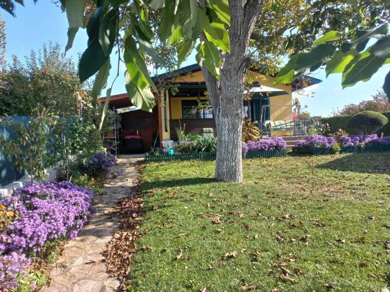 Bungalow in 2020 Raschala - 6