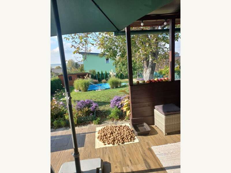 Bungalow in 2020 Raschala - 8