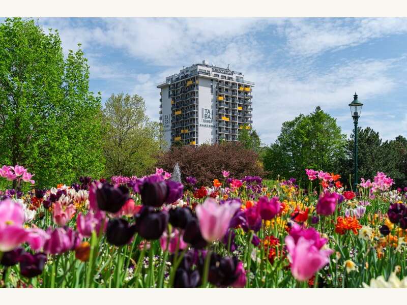 Apartement in 1100 Wien - 2