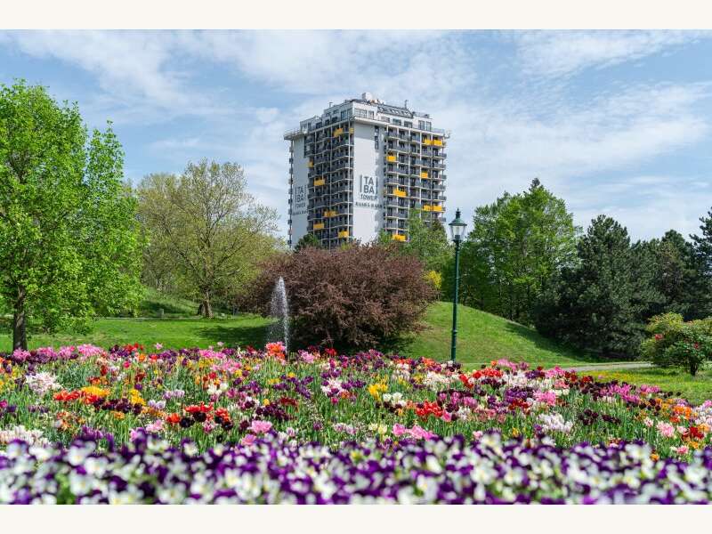 Apartement in 1100 Wien - 13