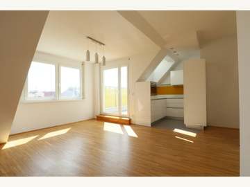Dachgeschosswohnung in Wien /  1160 Wien - Ottakring