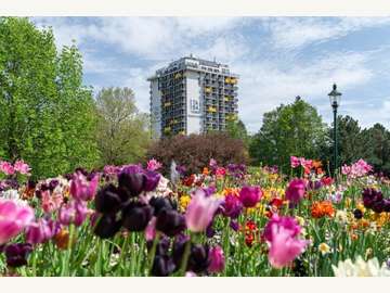 Eigentumswohnung in Wien /  1100 Wien - Favoriten