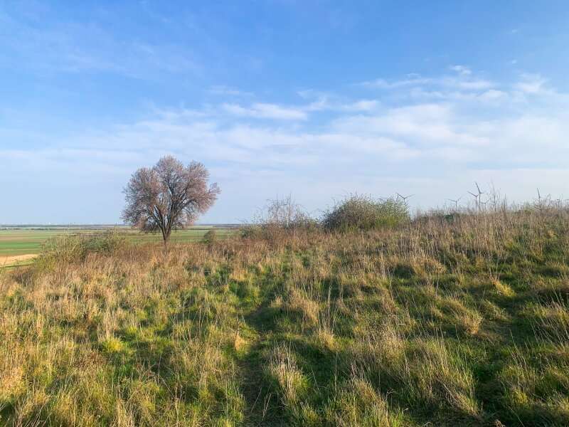 Baugrund in 2425 Nickelsdorf - 1