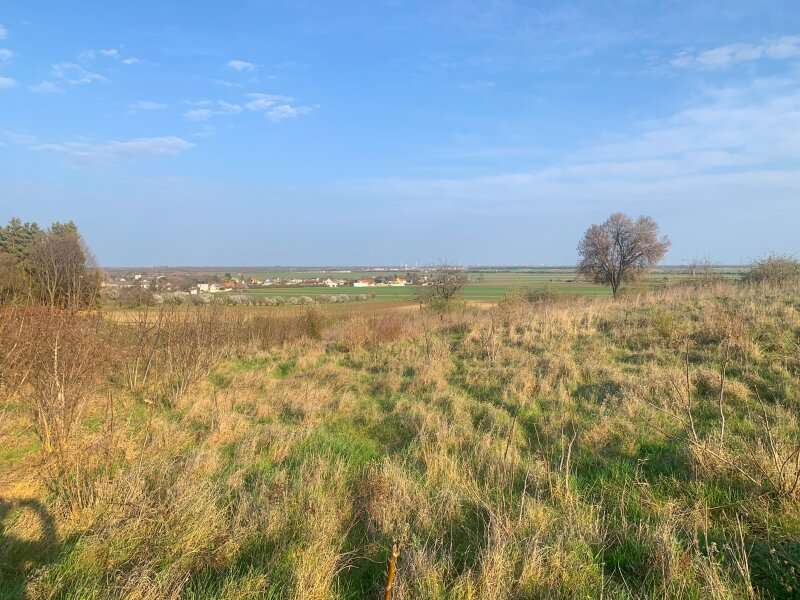 Baugrund in 2425 Nickelsdorf - 2