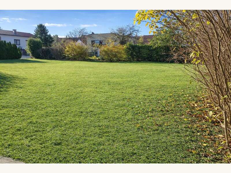 Mehrfamilienhaus in 2404 Petronell-Carnuntum - 15