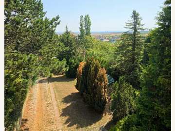 Baugrund in Hagenbrunn