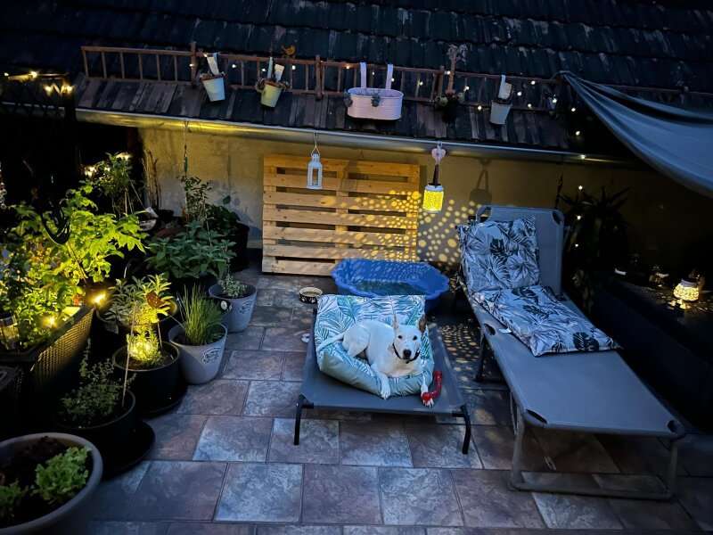 Mehrfamilienhaus in 2831 Gleißenfeld - 36