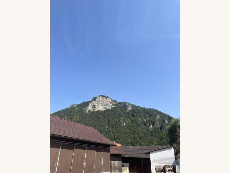 Mehrfamilienhaus in 2831 Gleißenfeld - 47