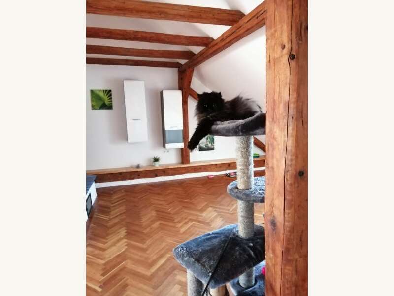 Maisonette in 2620 Neunkirchen - 16